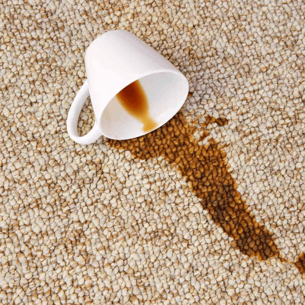 Halıdaki Kahve Lekesi Nasıl Çıkar? Evde Pratik Temizlik Yöntemleri : Kapak Görseli